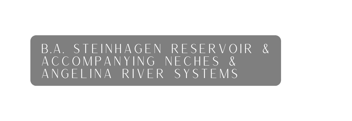 B A Steinhagen Reservoir accompanying Neches Angelina River systems